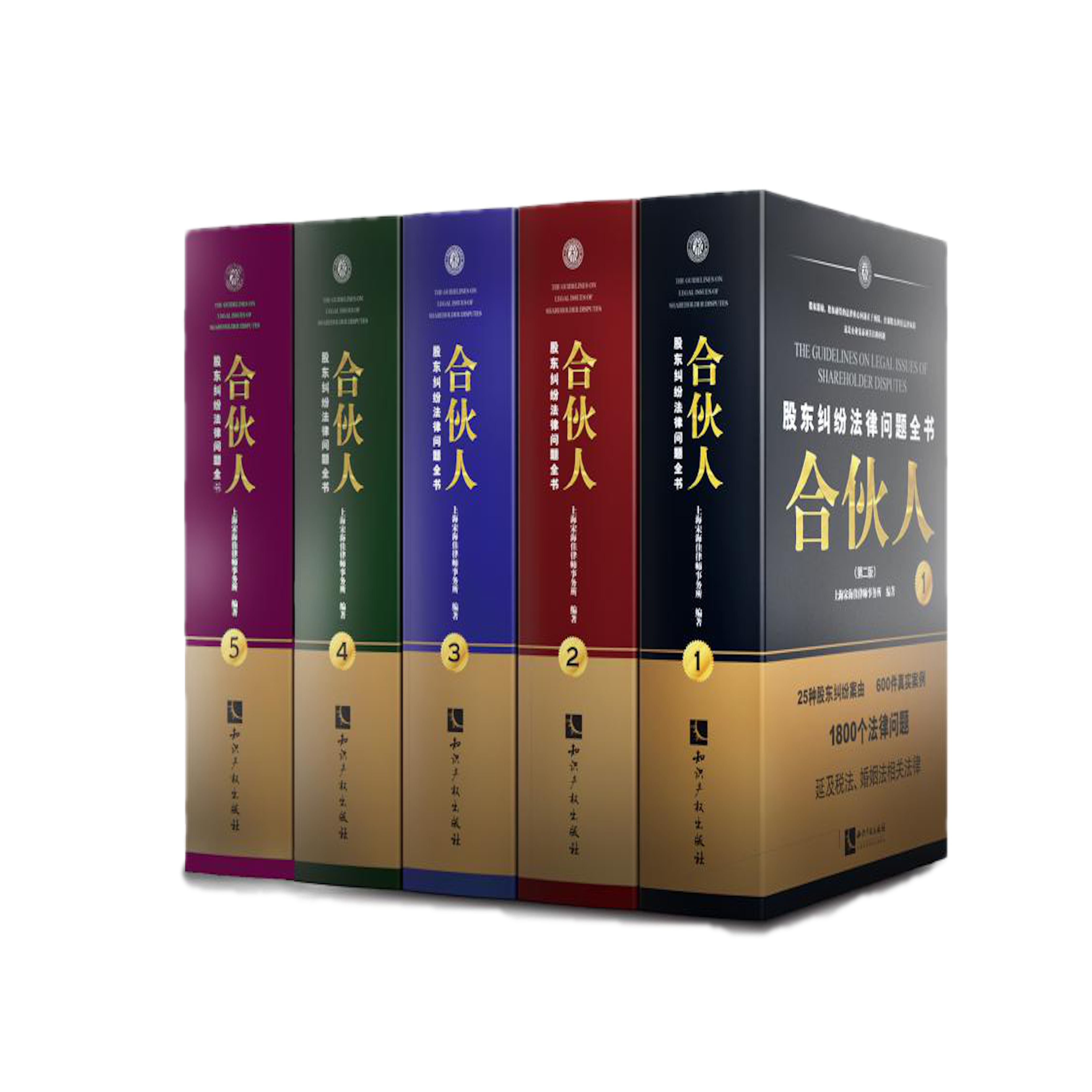 《合伙人:股东纠纷法律问题全书》(第三版,共5册)