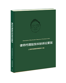 A Brief Overview of Shareholder Dispute Litigation