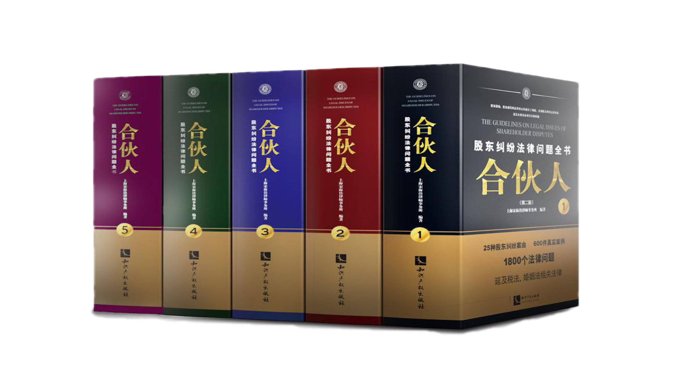 《合伙人:股东纠纷法律问题全书》(第三版,共5册)